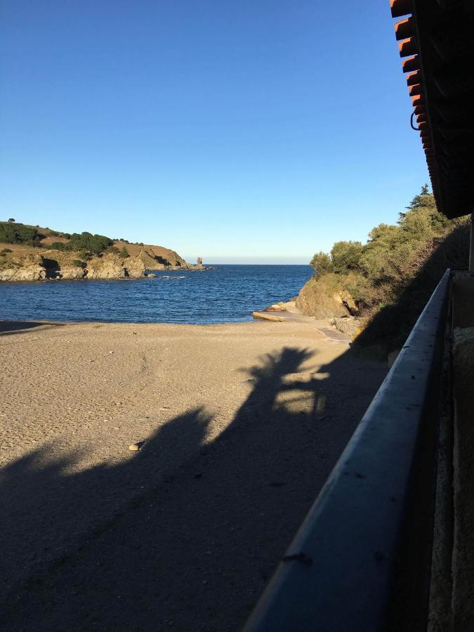 Ferienwohnung Les Pieds Dand L'Eau Banyuls-sur-Mer Exterior foto